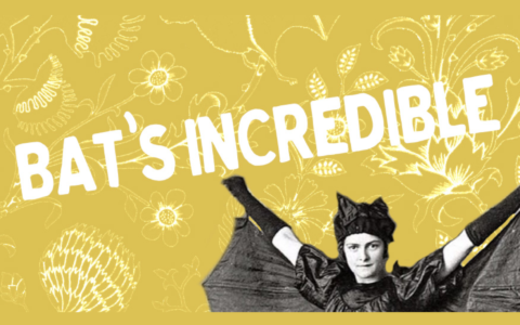 BATS Incredible! Fundraiser - Sunday 8 March 4:00pm Bats Incredible header